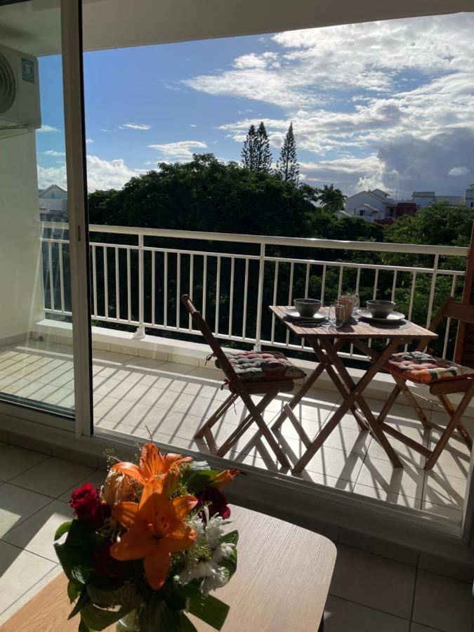 Appartement Lumineux Renove A Neuf Сен-Пиер Екстериор снимка