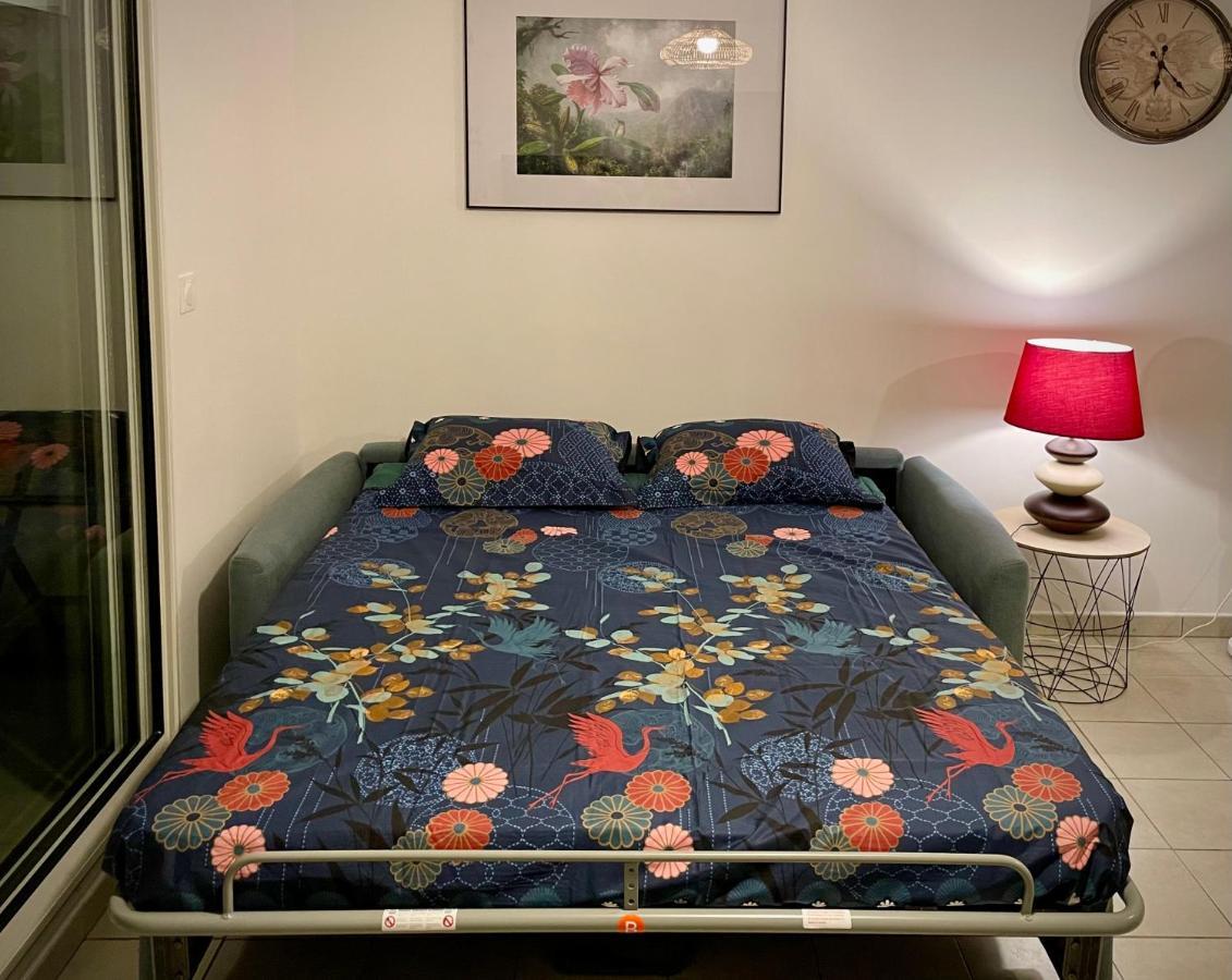 Appartement Lumineux Renove A Neuf Сен-Пиер Екстериор снимка